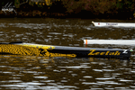 HOCR23 - the bow art makes this one purr - Click for full-size image!