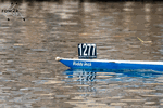 Head of the Schuylkill - pretty good name for a blue boat, since that's the color of a ruddy duck's bill - Click for full-size image!