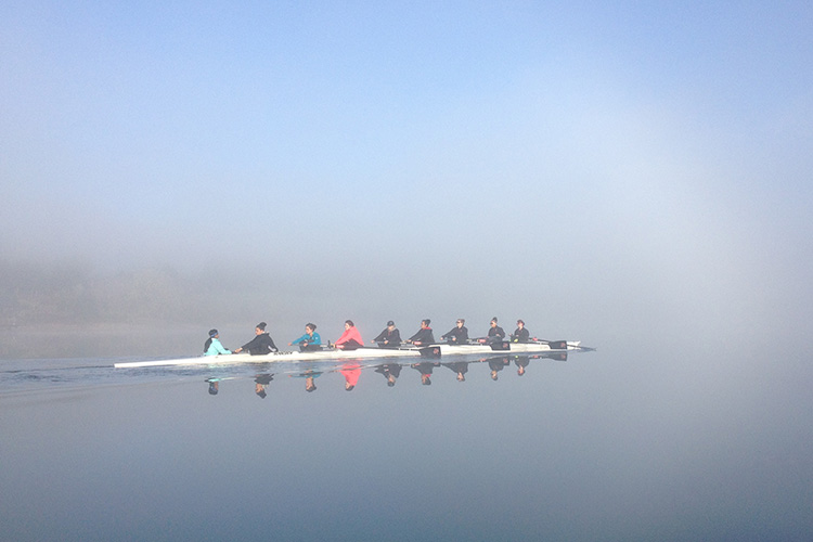 Rowing Into the Fog