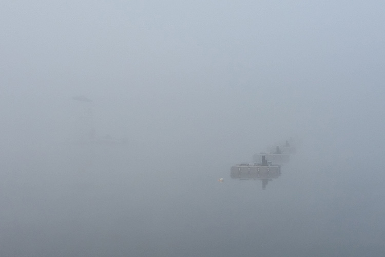 Australian Fog
