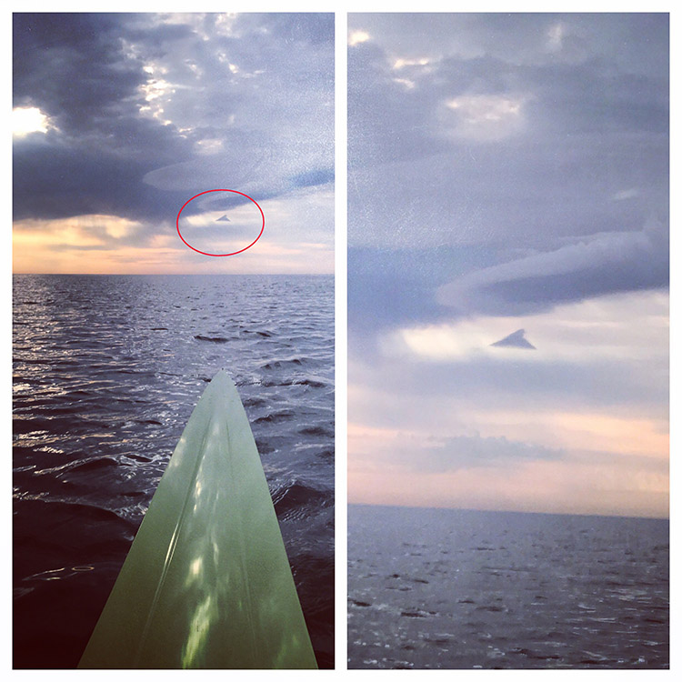 Shark or UFO