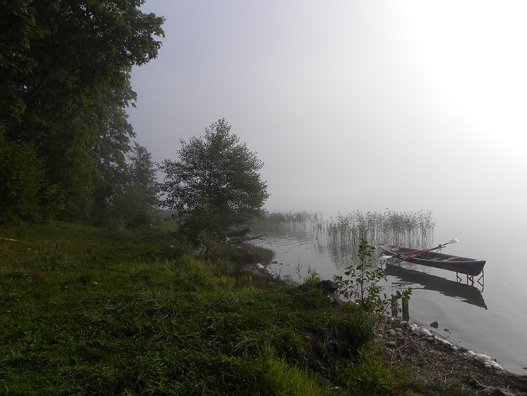 Misty Morning in Poland