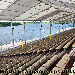 Grandstand towards the start - Click for full-size image!