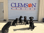 March 4, 2013 - Black Lab Problem, submitted by Adam Bruce - Click for full-size image!