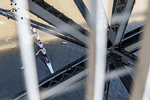 Coxed four through the bridge - Click for full-size image!