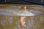 April 14, 2008 - Puddle Reflection, submitted by Fred Honebein - Click for full-size image!
