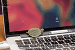 Turtle commandeered the row2k laptop - Click for full-size image!
