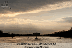 Cooper River start line view - Click for full-size image!