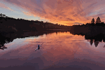 June 14, 2019 - Morning Row, submitted by Veronique Oomen - Click for full-size image!