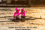 Pink elephants at Seattle Row for the Cure - Click for full-size image!