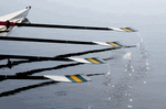 September 26, 2010 - Aussie Oars, submitted by Nick Garratt - Click for full-size image!