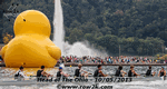 Fountain and giant duckie - Click for full-size image!