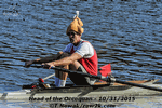 Sculling turkey - Click for full-size image!