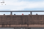 Most asked question on the bridge: how long until they get here? - Click for full-size image!