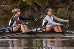 Grip your oars like it's 202One - Click for full-size image!