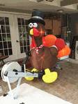November 26, 2016 - Holiday Erg Challenge, submitted by Mary Jane Lathan - Click for full-size image!