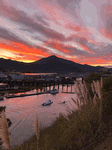 December 28, 2020 - Holidays in Marin, submitted by Tom O'Connell - Click for full-size image!