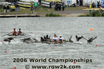 Goose chaos at World Championships - Click for full-size image!