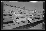 1942 July U.S. Naval Academy, Annapolis, Maryland. Rowing crew resting. Photo courtesy of the Library of Congress - Click for full-size image!