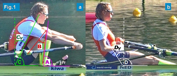 row2k features: Rowing Science: Analysis of Angles of Body Segments in the World's Best Rowers