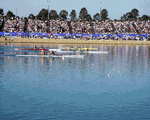 Women's pair heat in Sydney - Click for full-size image!