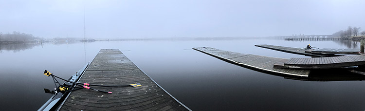 Foggy Morning Solitude