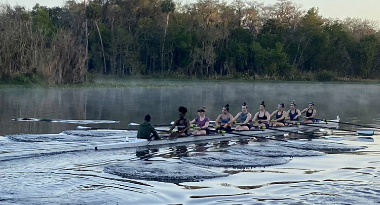 Rowing With Dinosaurs