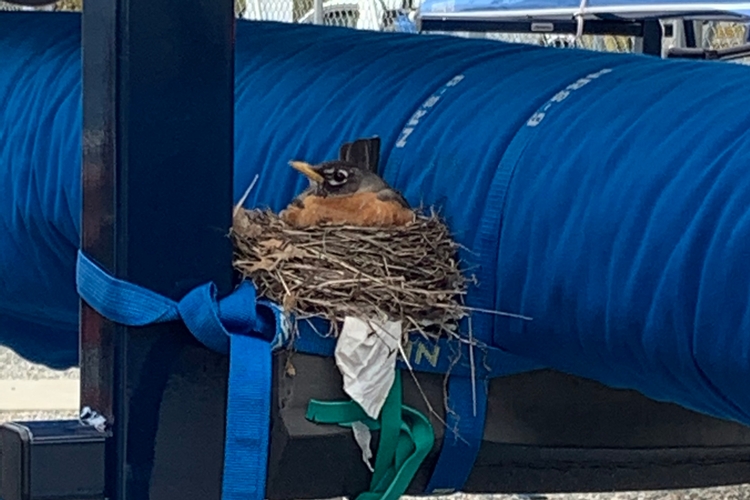 Rack Nest