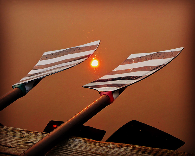 Wildfire Blades