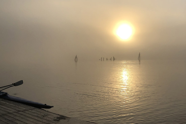 Narragansett Fog