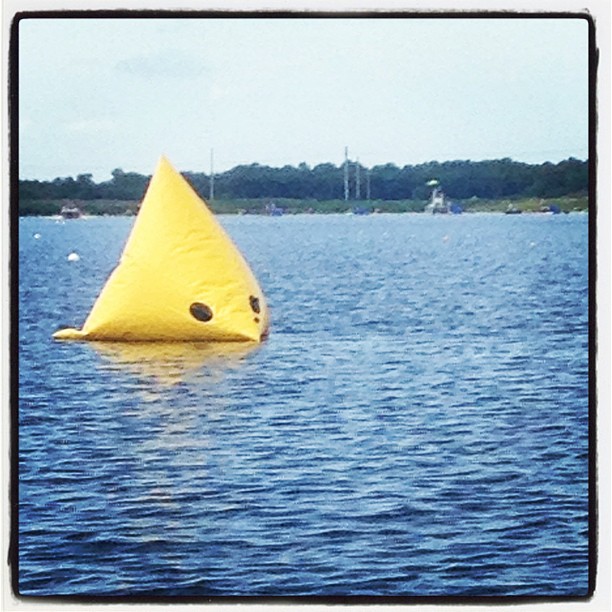Course Buoy or Angry Bird