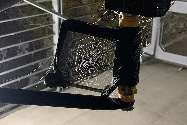 Oarlock Spiderweb