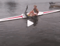 When coxes try to row...
